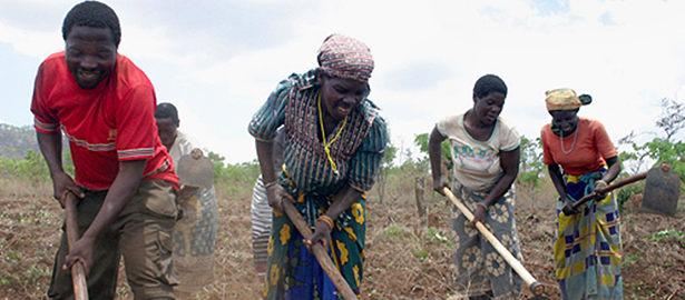 Food Issues: Fair Trade