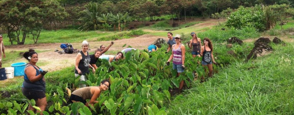 Food Issues: Food & Sustainability